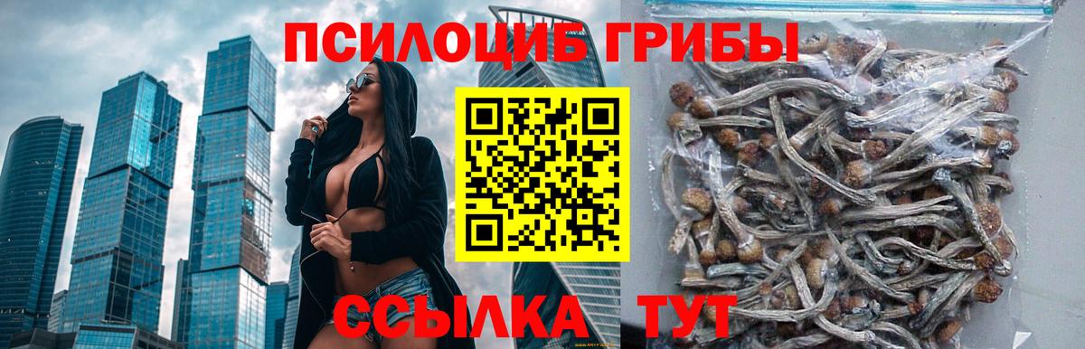 Псилоцибиновые грибы MAGIC MUSHROOMS  Галлюциногенные грибы MAGIC MUSHROOMS  Луховицы  Вход с VPN 